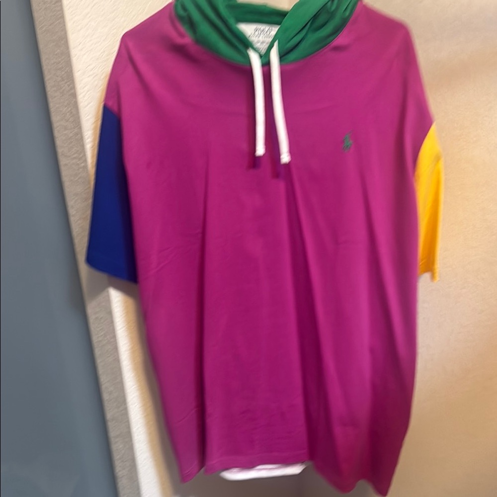 Ralph Lauren Purple and Green Sweatshirt